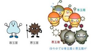 マイクロビオーム microbiome という言葉をご存知ですか?