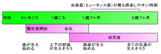 子供の虫歯菌はどこから来るの?①