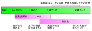 子供の虫歯菌はどこから来るの？①